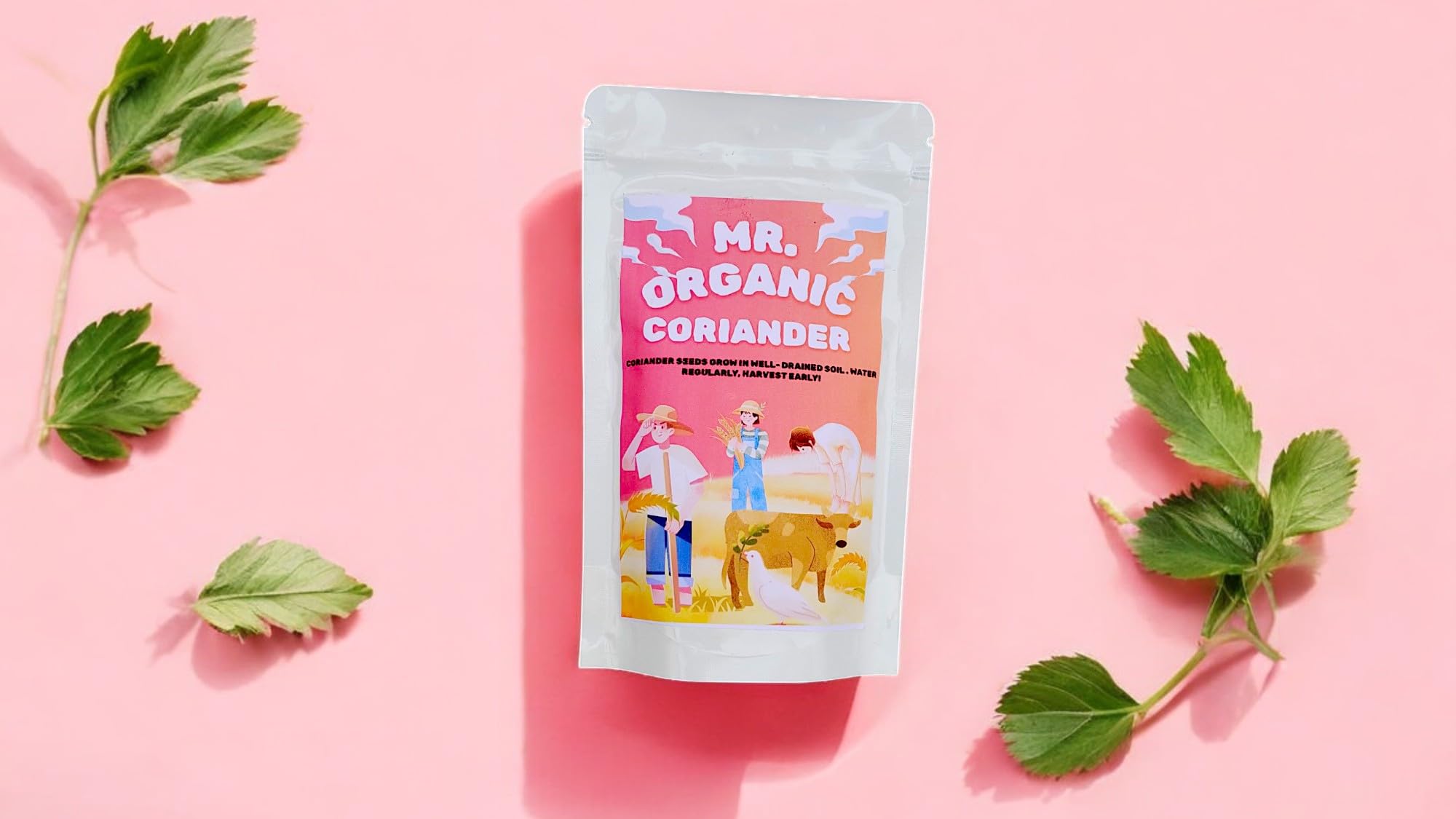 Mr.Organic Coriander Seeds - Grow Fresh Herbs! -3