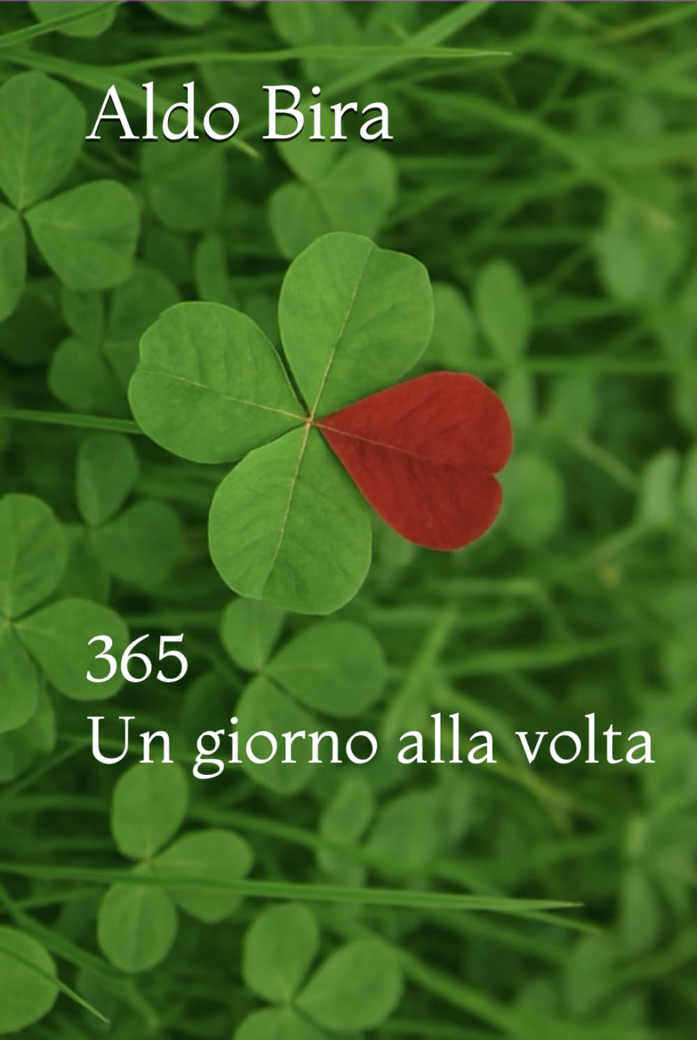 365 Un giorno alla volta: 51 viaggi