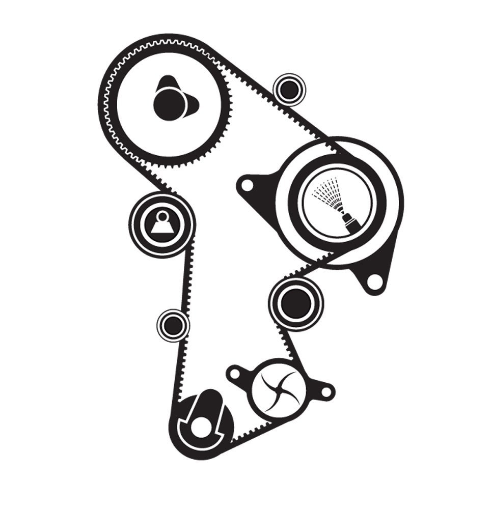 SKF VKMC 01263-1 Kit Tendicinghia con Pompa Acqua