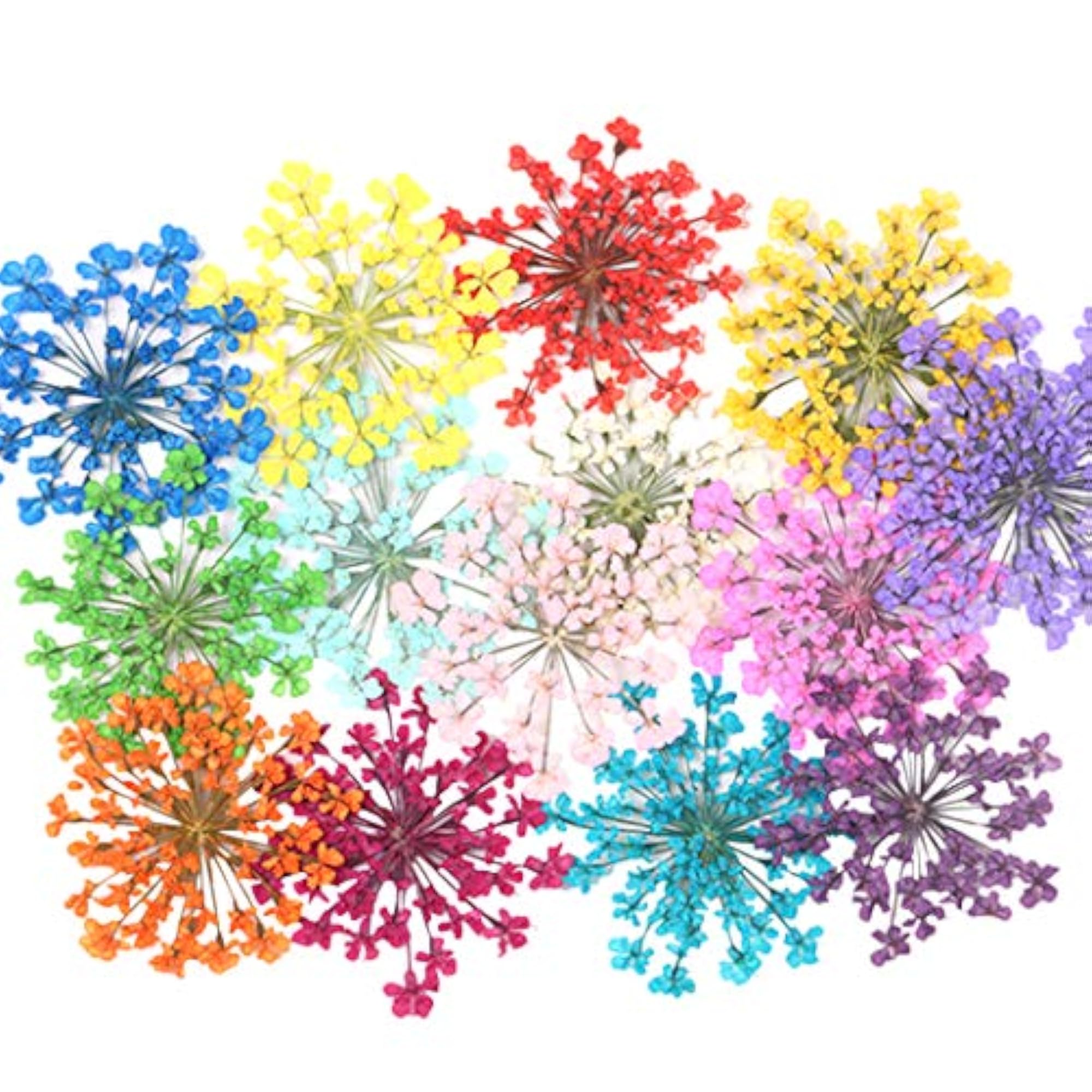 120PCS Dried Flower Creative DIY Craft Supplies