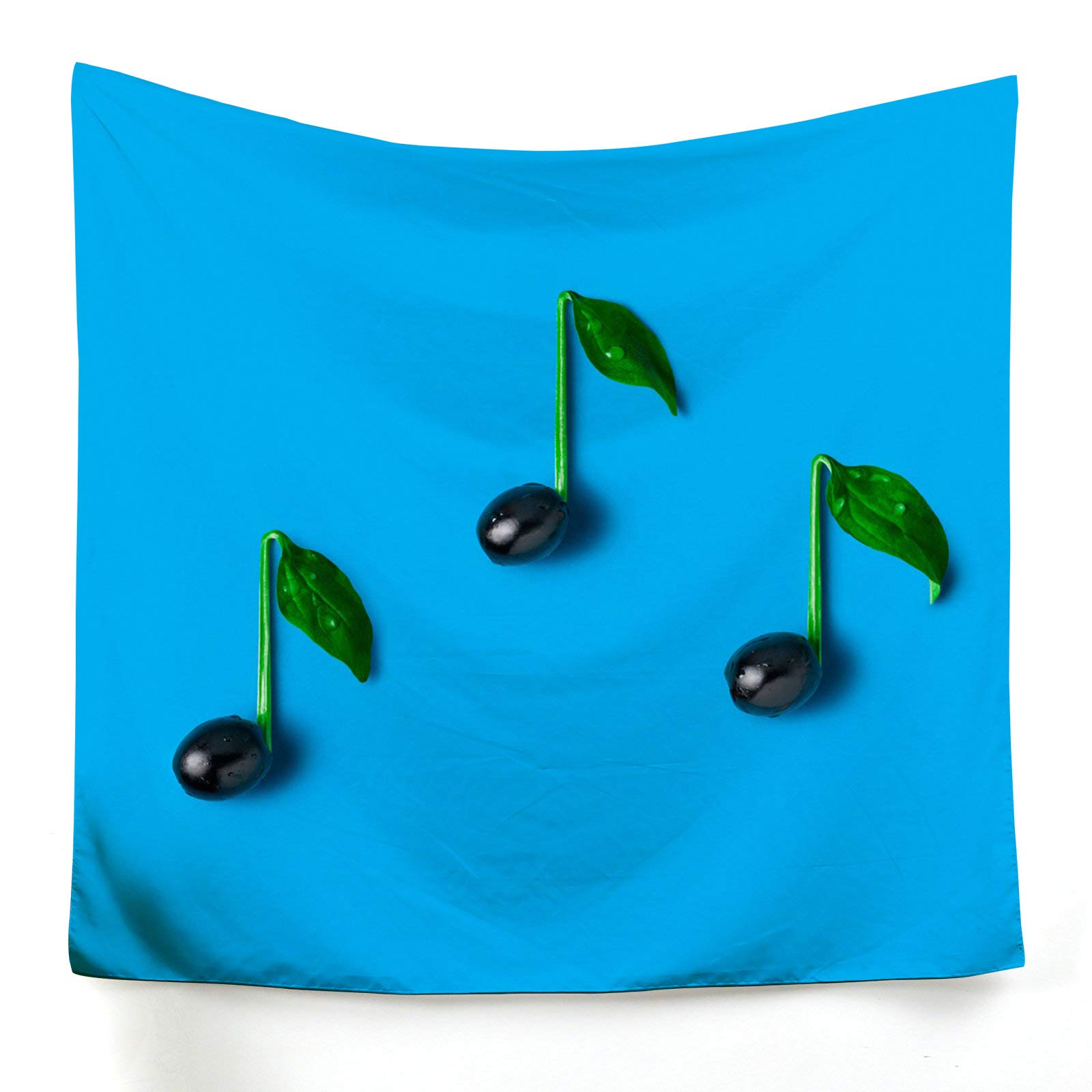 Tapiz de pared KnSam de poliéster, tapicería decorativa musical lavable y resistente de 150x130