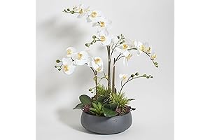 Premium Artificial Grey Orchid Plant