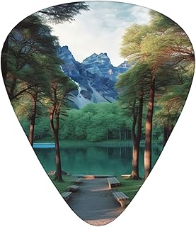 Park Guitar Picks 12 Pack Bass Picks with Organizer Box Guitar Plectrum Includes Thin Medium Heavy Guitar Picks Ukulele Picks for Bass Acoustic Electric Guitars