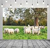 BELECO 1.5x1m Sfondo Fotografico gregge pecore prato verde rurale, paesaggio naturale campagna, decorazione ritratto famiglia cabina foto studio