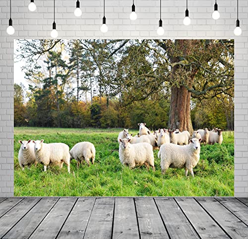 BELECO 8x6ft Fabric Flock of Sheep in Green Farmland Field Backdrop Countryside Natural Scenery Rural Pasture Photography Background Portrait Photoshoot Studio Booth Photo Props
