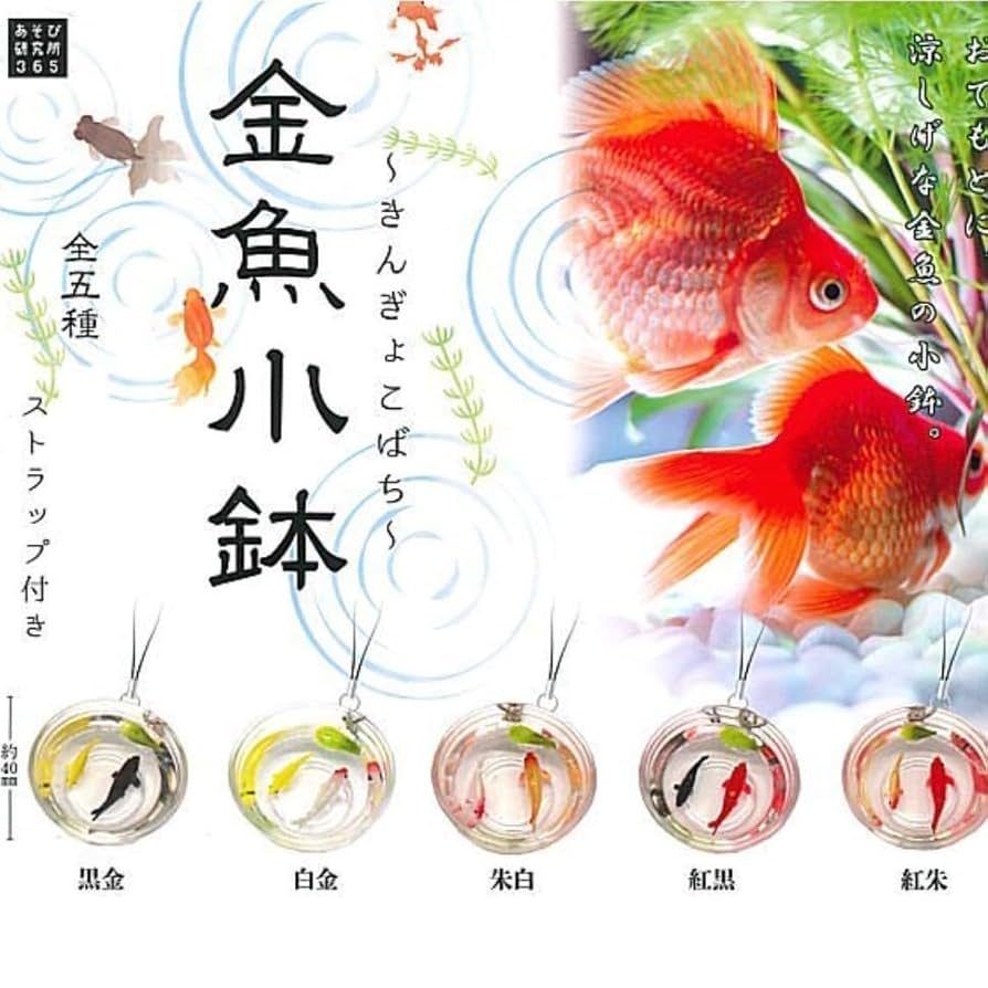 Amazon.co.jp: 金魚小鉢 第1弾 全5種類 ミニチュアコレクション