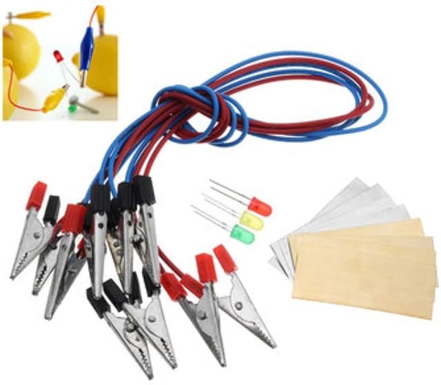 Fruit Battery Light Diode Science Kit Orange Potato Lemon Battery Physics Teaching Experiment by AdvancedShop