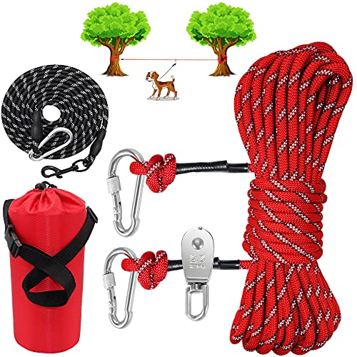 7 Best Dog Tie Out For Camping [2022]