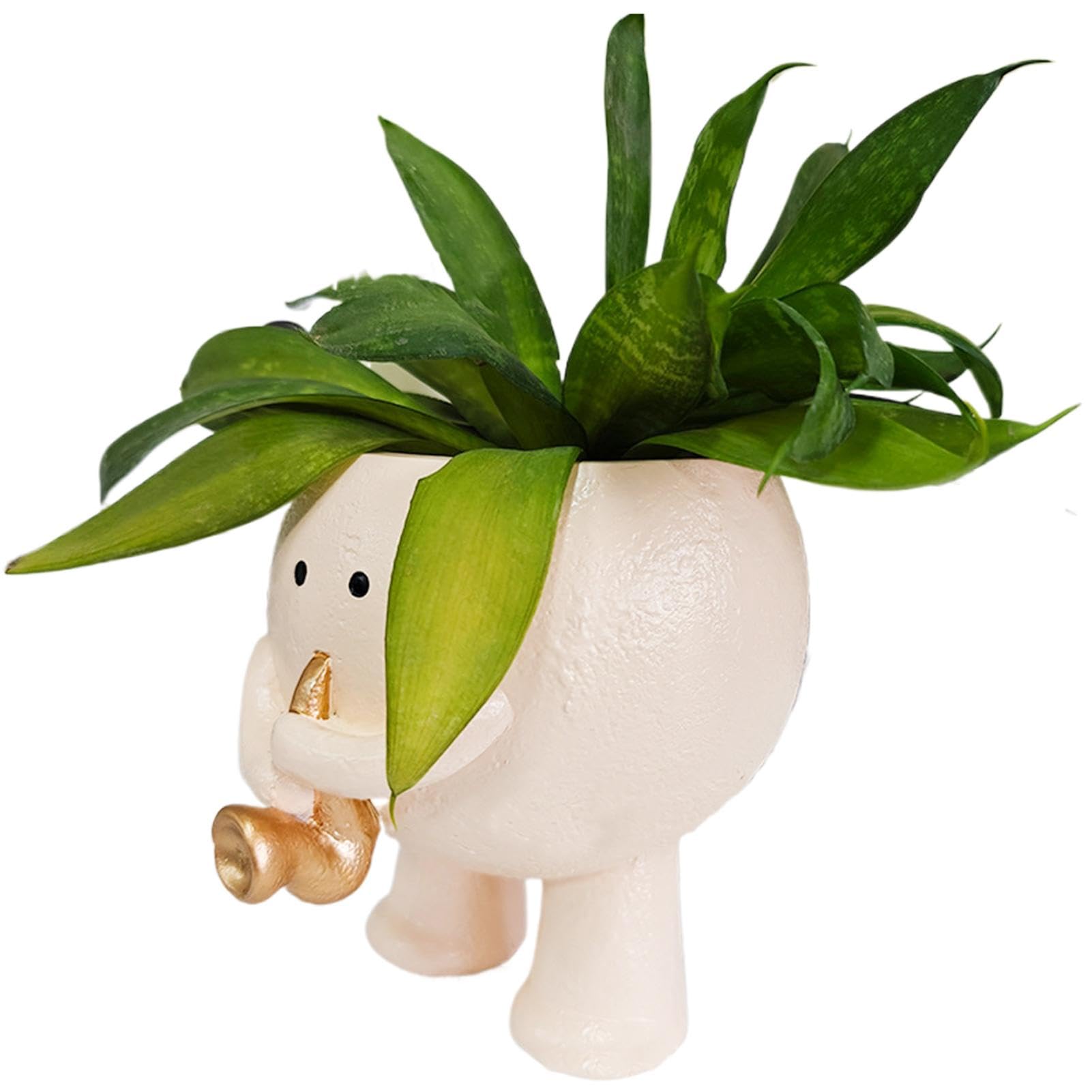 Amazon.co.jp: 多肉植物の植木鉢 - 笑顔の植木鉢 | 笑顔のかわいい樹脂