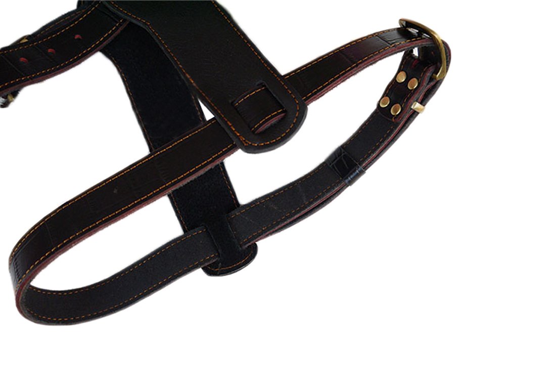 Harnais Cuir Premium The Leather Art Store - 12 Points Réglables - 3mm - UK