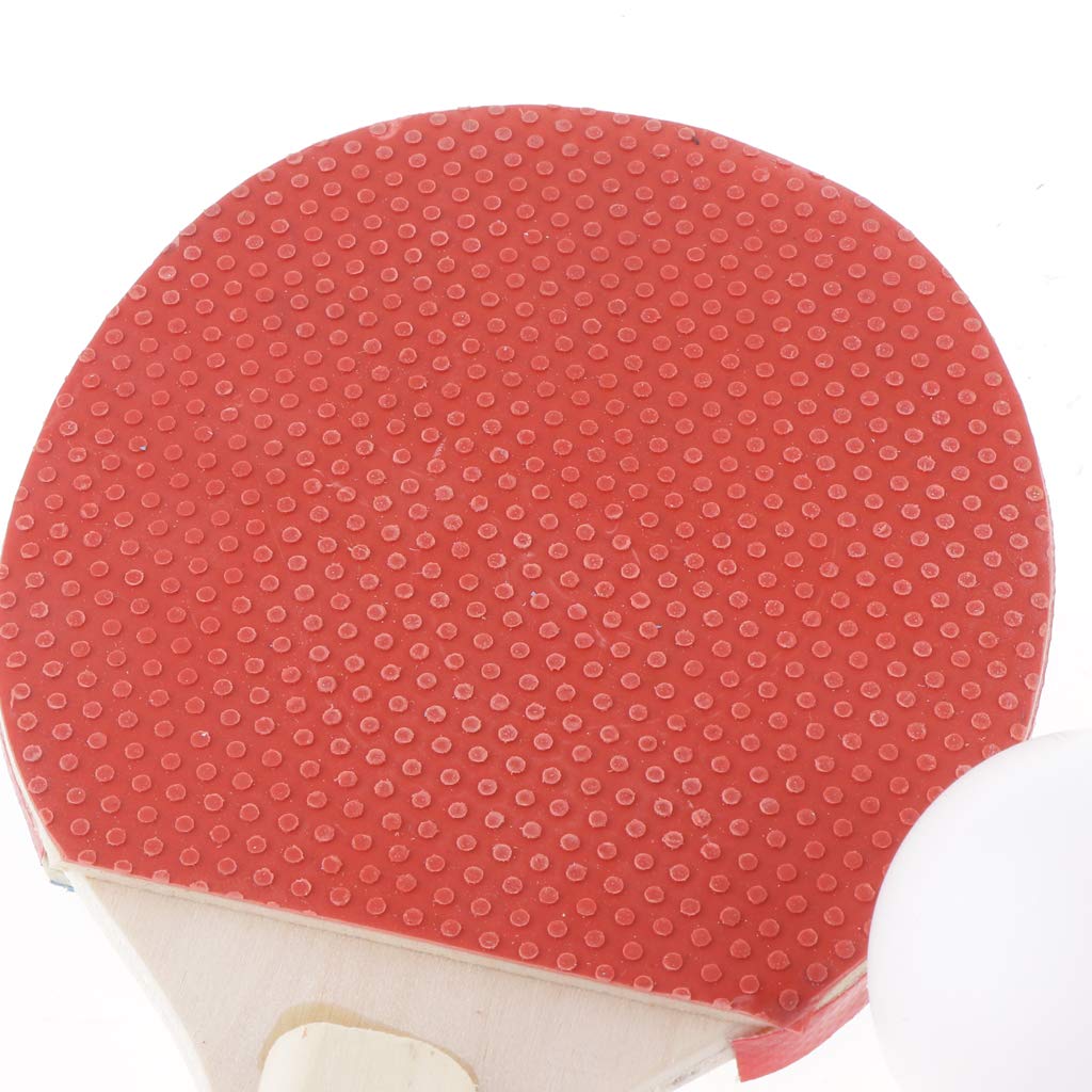 1 para mini tenisa stołowego rakieta do pingponga zestaw siatek + 1 x piłka
