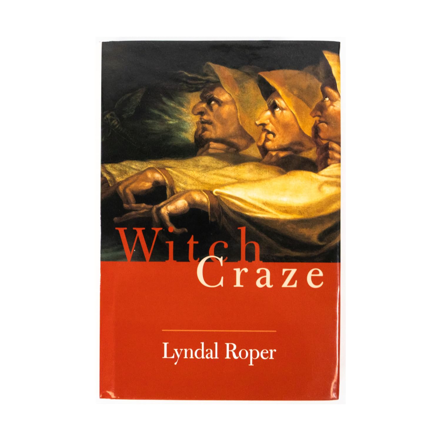 Witch Craze: Terror and Fantasy in Baroque Germany