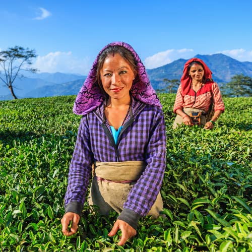 Image of ZYANNA Darjeeling Tea First Flush Ftgfop1 Clonal (100Gm- 50Cups) Limited Stock - Teesta Valley TeaEstate - Darjeeling Premium Whole Leaf Black Tea - Loose Long Leaves