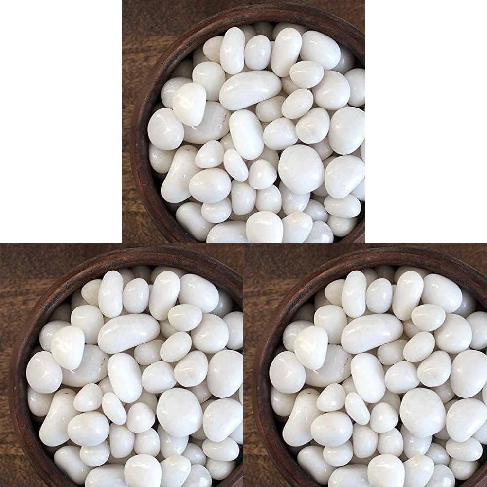 2.5Kg Natural Polished Pebble Stones (White Polished) Terrarium|Succulents|Garden Pots|Gardening|Bamboo Plants & Multi Purpose Pack(2.5Kg, 20-30 mm, White Polished) (Pack of 3)-image-15