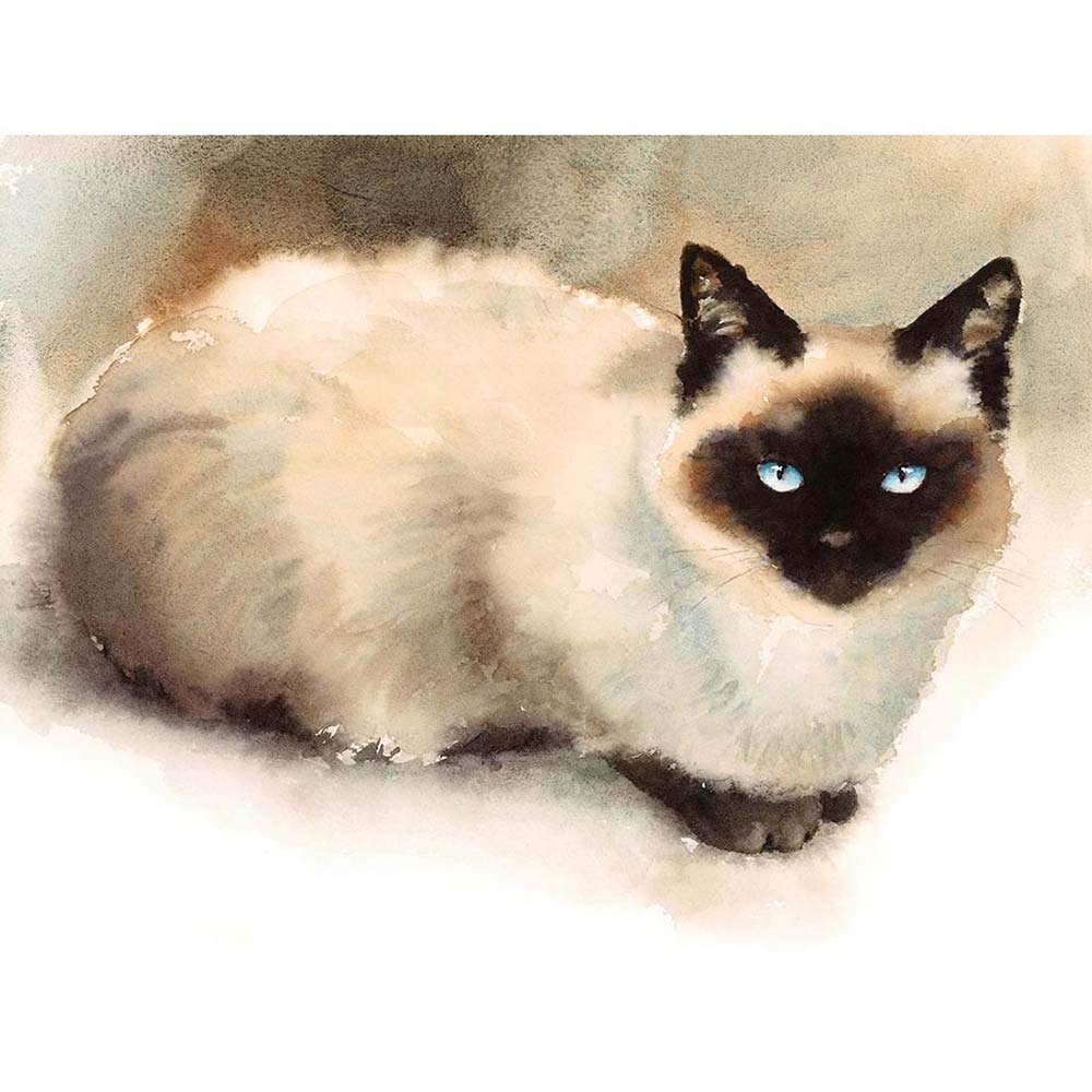 Wee Blue Coo Cat Ragdoll Watercolour Art Print Poster Wall Decor 12X16 Inch