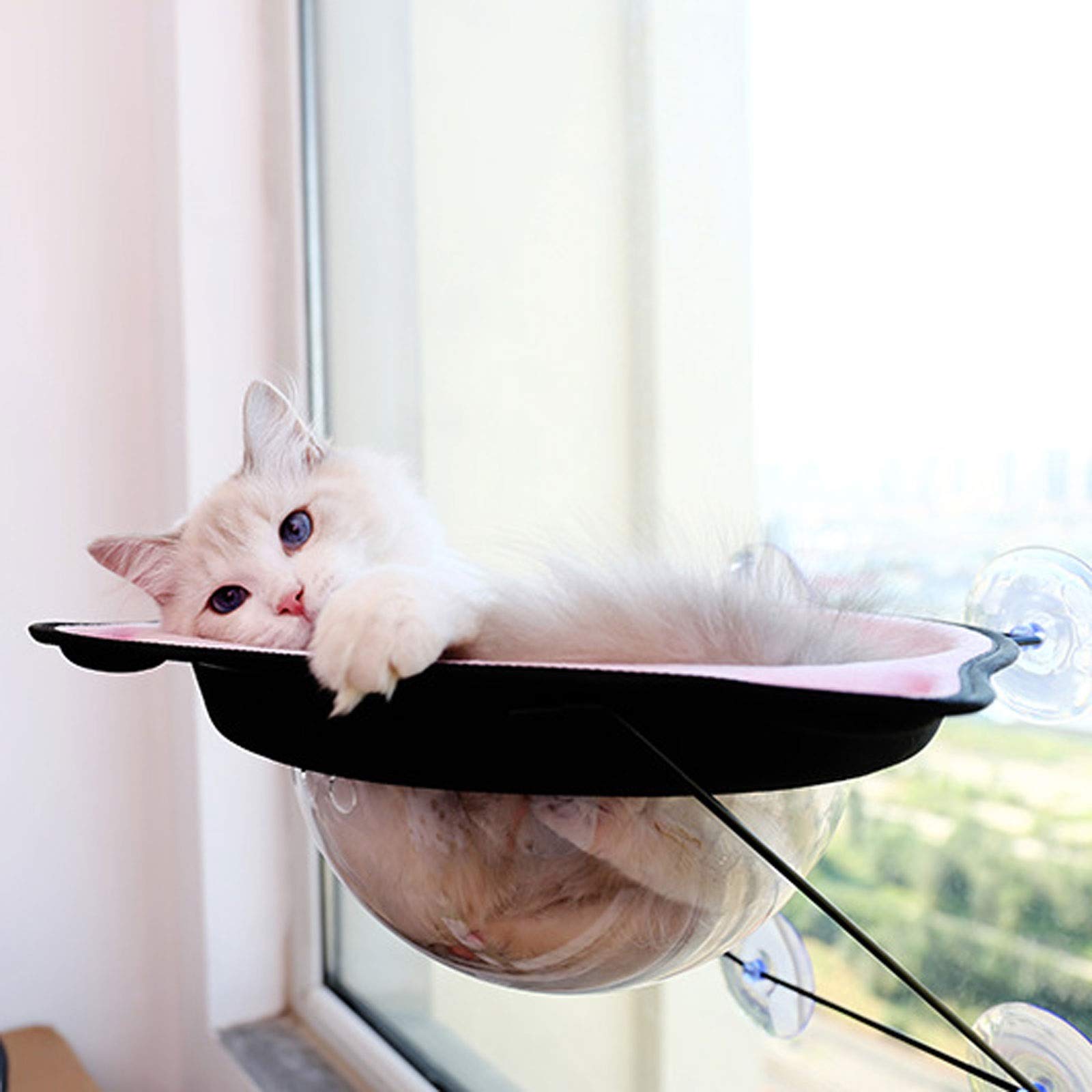 Cama para Mascotas Perca de la Ventana del Gato, Hamaca de la Ventana del Gato, Kitties Cama soleada para Arriba, Marco de Metal Estable Cara de Gato Hamaca Cama Mascota Waterloo