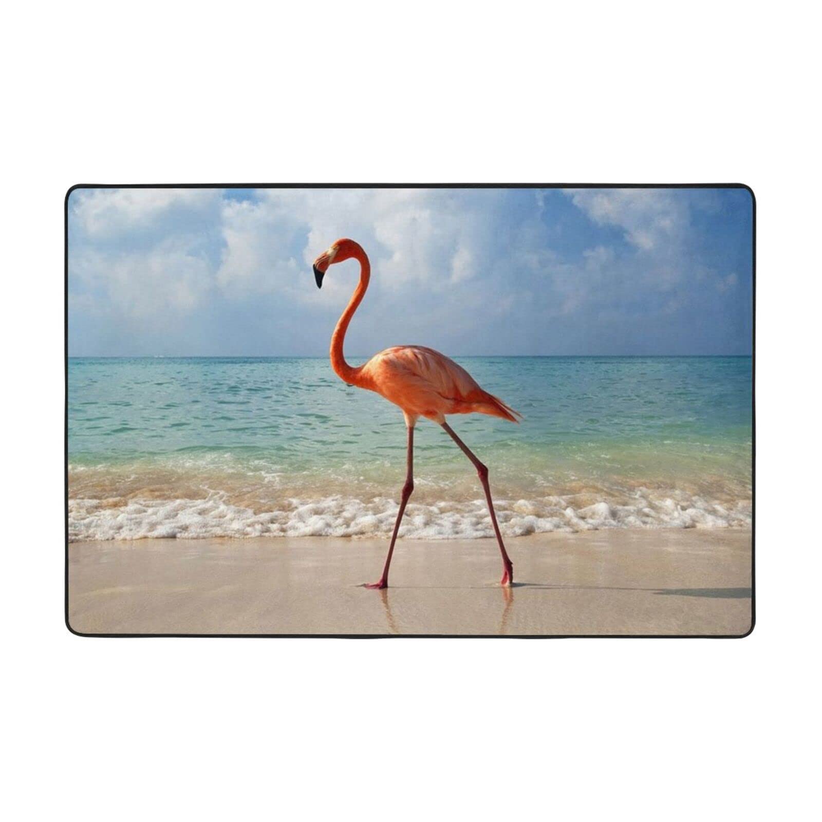 Tapis de sol antidérapant flanelle absorbant salon chambre