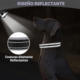 Ver la foto 4