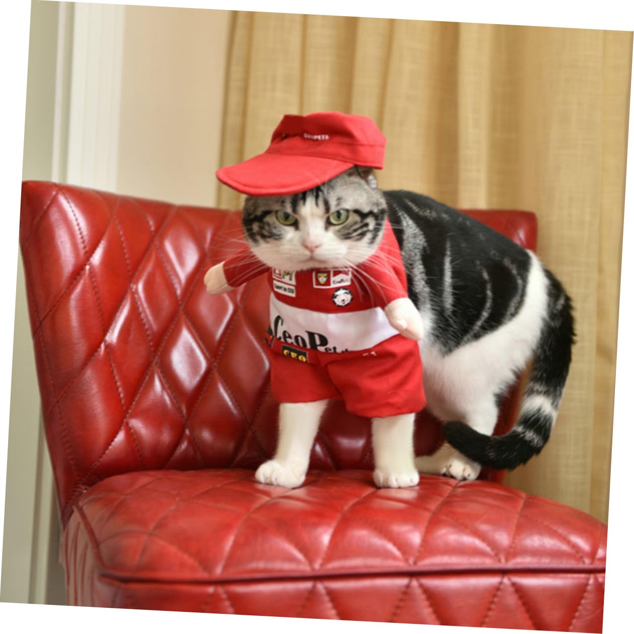 BESPORTBLE 3 Pz vestiti per cani abbigliamento per animali domestici costume da compagnia dog costume costumi cane piccoli cappotti per animali domestici cappotto per cani animale domestico