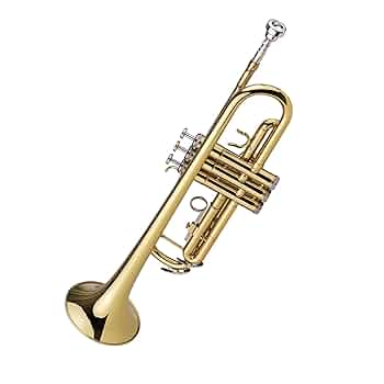 金色トランペット マウスピース2個付き buzz バズ / フォーカス トランペット マウスピース用 練習器具