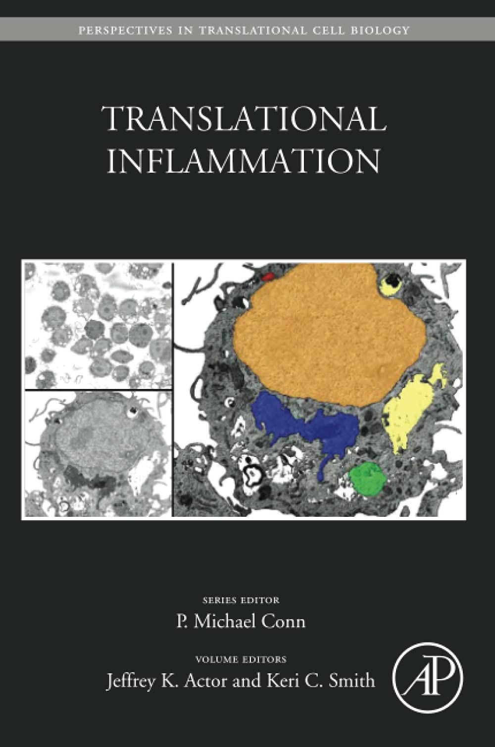 Translational Inflammation: Volume 4 (Perspectives in Translational Cell Biology)