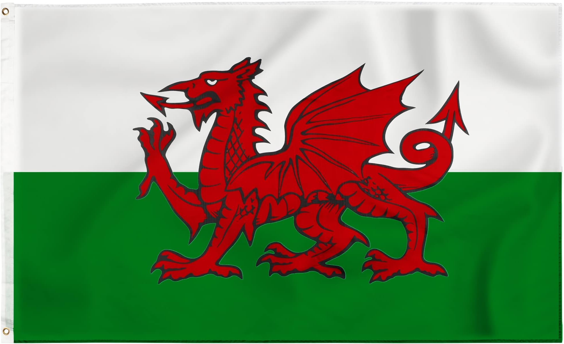 Storm&Lighthouse Welsh Flag Cymru Wales Flag 5ft x 3ft with Eyelets St Davids Day Red Dragon Six Nations UK