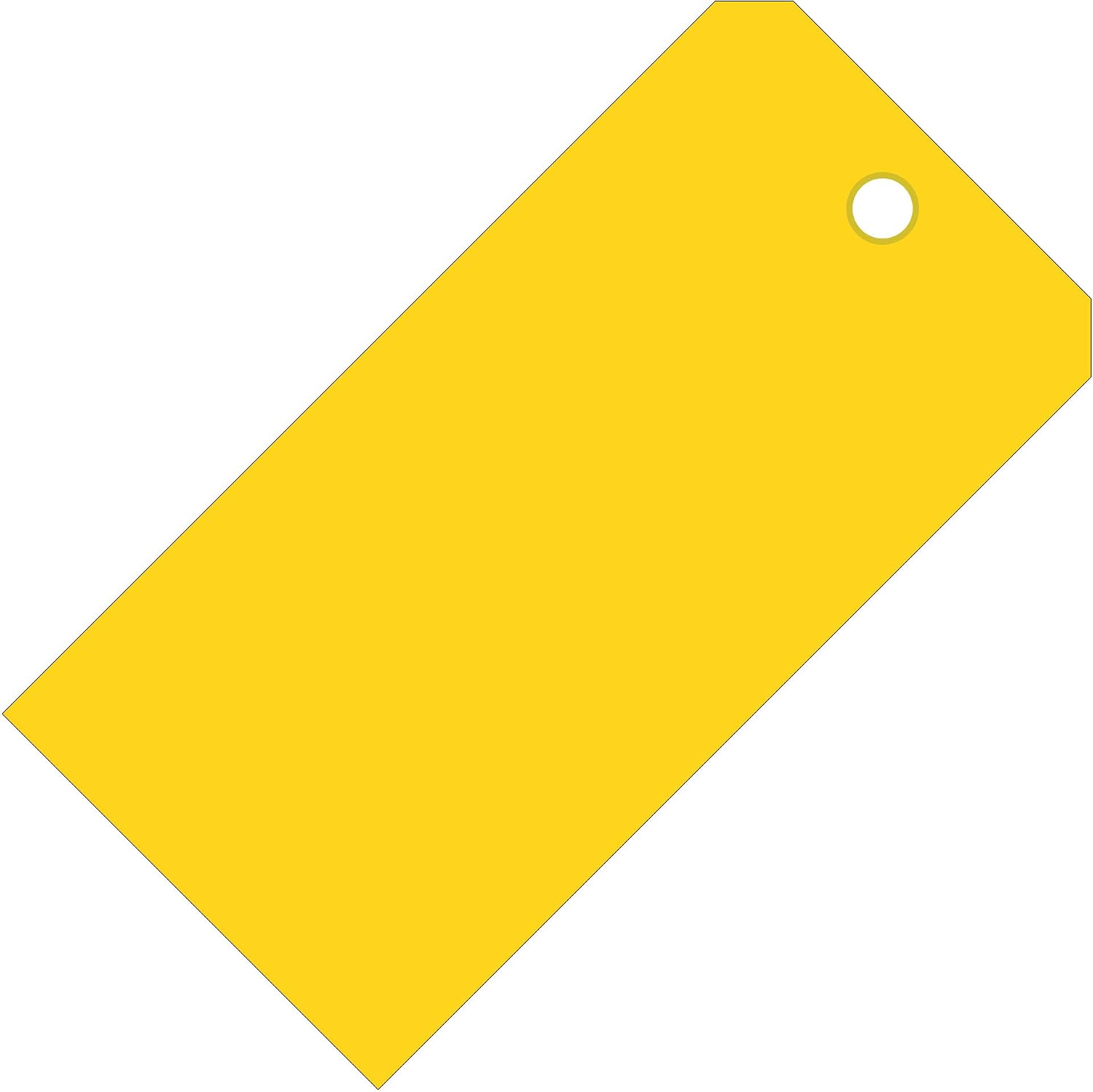 Tags 4 Less 10 Mil Plastic Hang Tags – 2-3/8" x 4-3/4" Waterproof Heavy Duty Vinyl Labels with Reinforced Hole for Tagging, Equipment Labeling, Luggage, Valves & More (Fluorescent Pink, Pack of 1000)