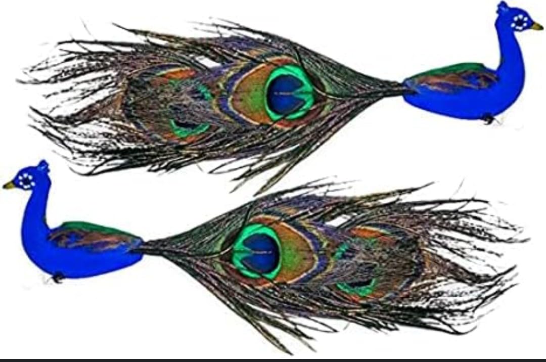 VRB DecTm Real Natural Peacock Peacock Feather Original Feathers 10-12 inch for DIY Craft Floral Arrangements,Wedding,Home and Party Decorations Feathers (Handmade Peacock 2 Pcs)