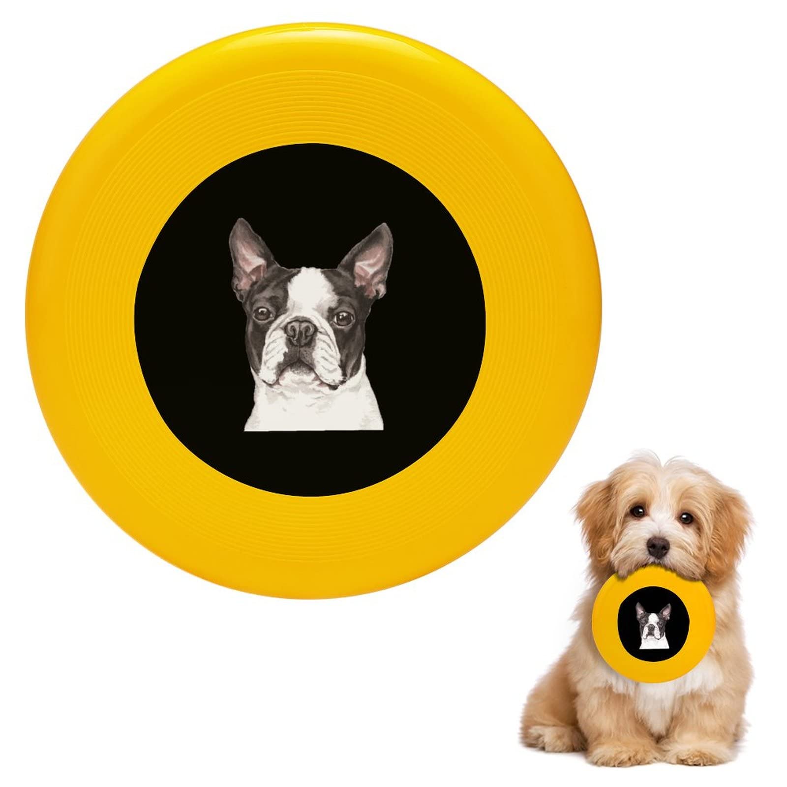 What Kind Of Toys Do Boston Terriers Like