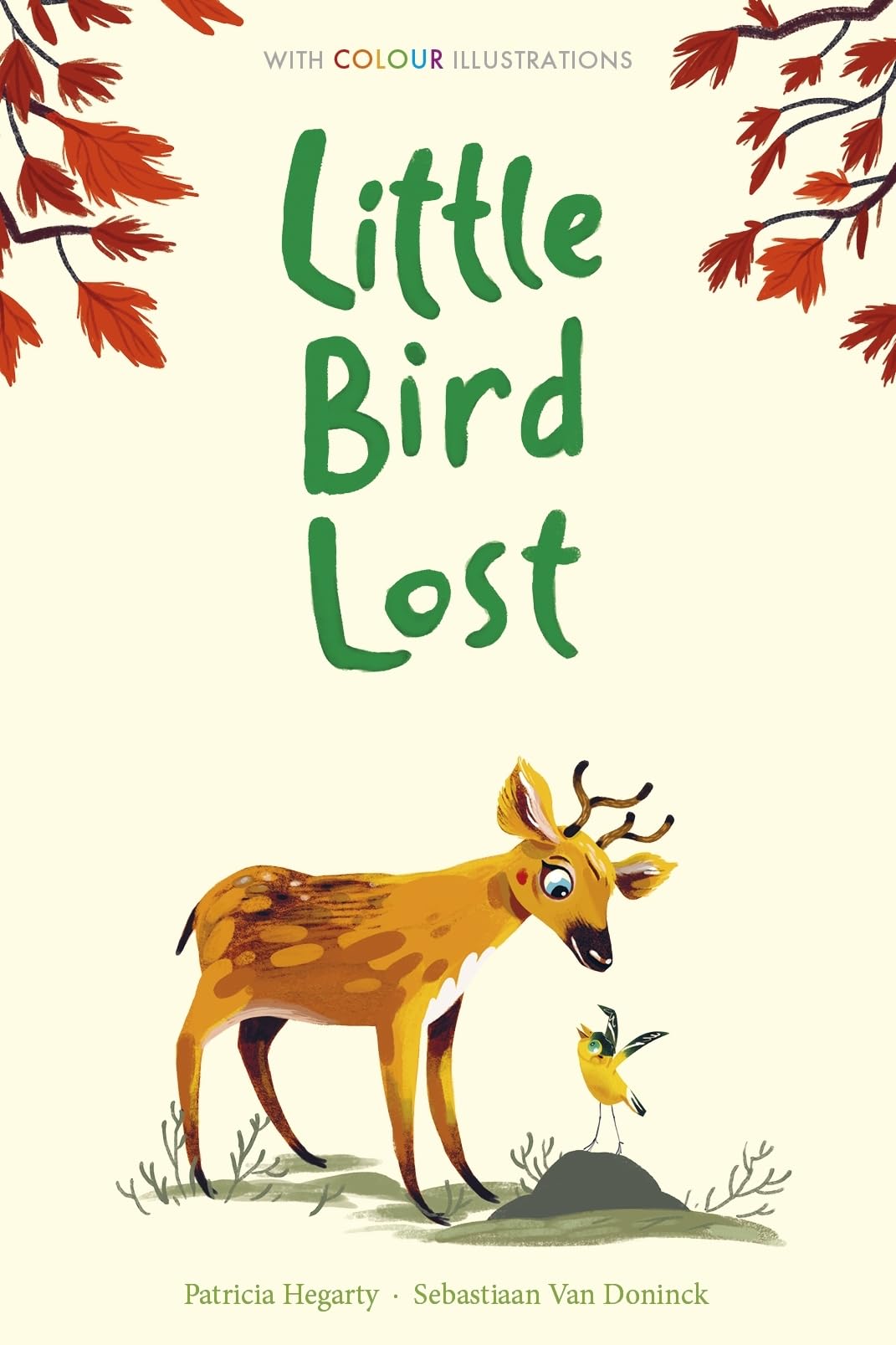 Little Bird Lost (Colour Fiction)