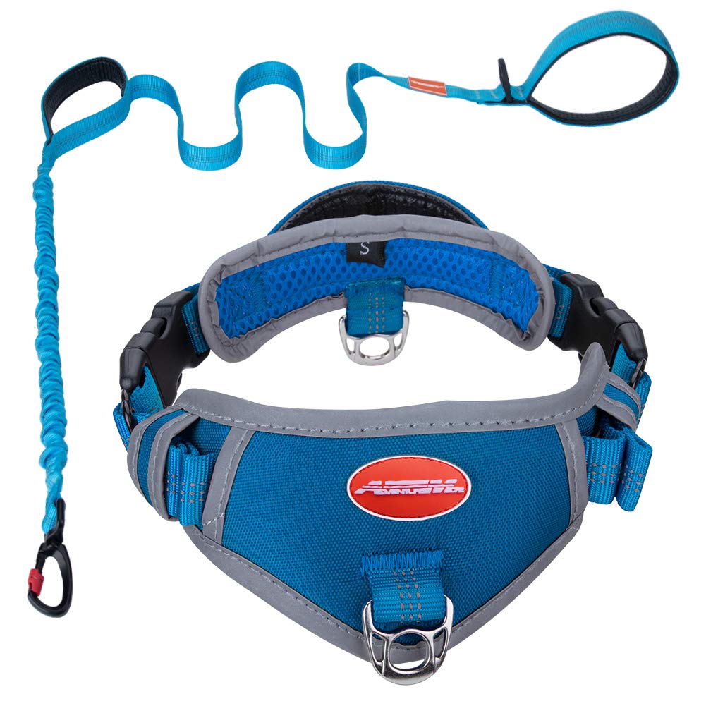 ADVENTUREMORE Dog Collar Leash Set - Heavy Duty Adjustable Reflective Dog Collar with Handle, Plus a Padded Double-Handle Bungee Leash Dog Training Leash 5ft, Medium, Blue