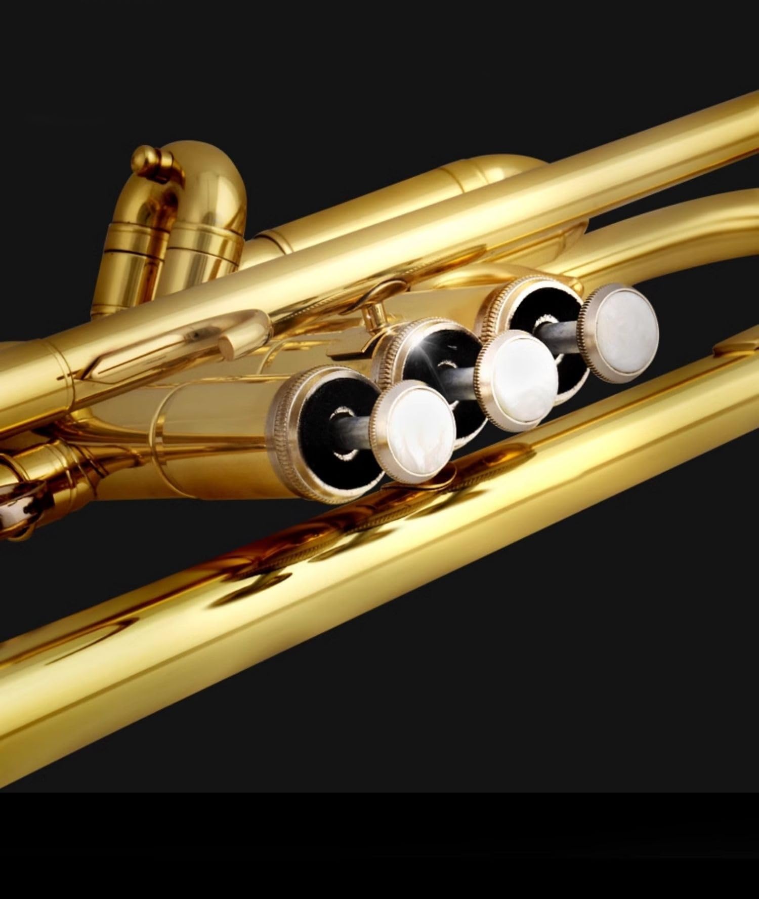 Ensemble Di Trombe Standard Tromba In Sib Strumento Per Principianti Per Adulti Tubo In Ottone Laccato Oro