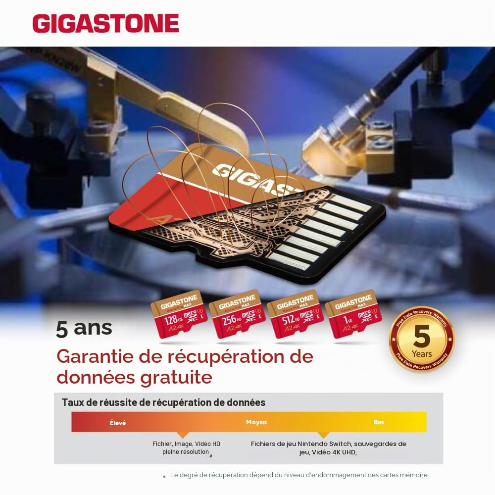 【pour Switch 1 Seulement】 GIGASTONE MicroSDXC 512 Go, Game Pro Max, Vitesse jusqu'à 170/140 Mo/s, pour Switch 1, Steamdeck, 4K Video A2 V30 U3 MicroSDXC avec Adaptateur【Récupération Gratuite 5 Ans】