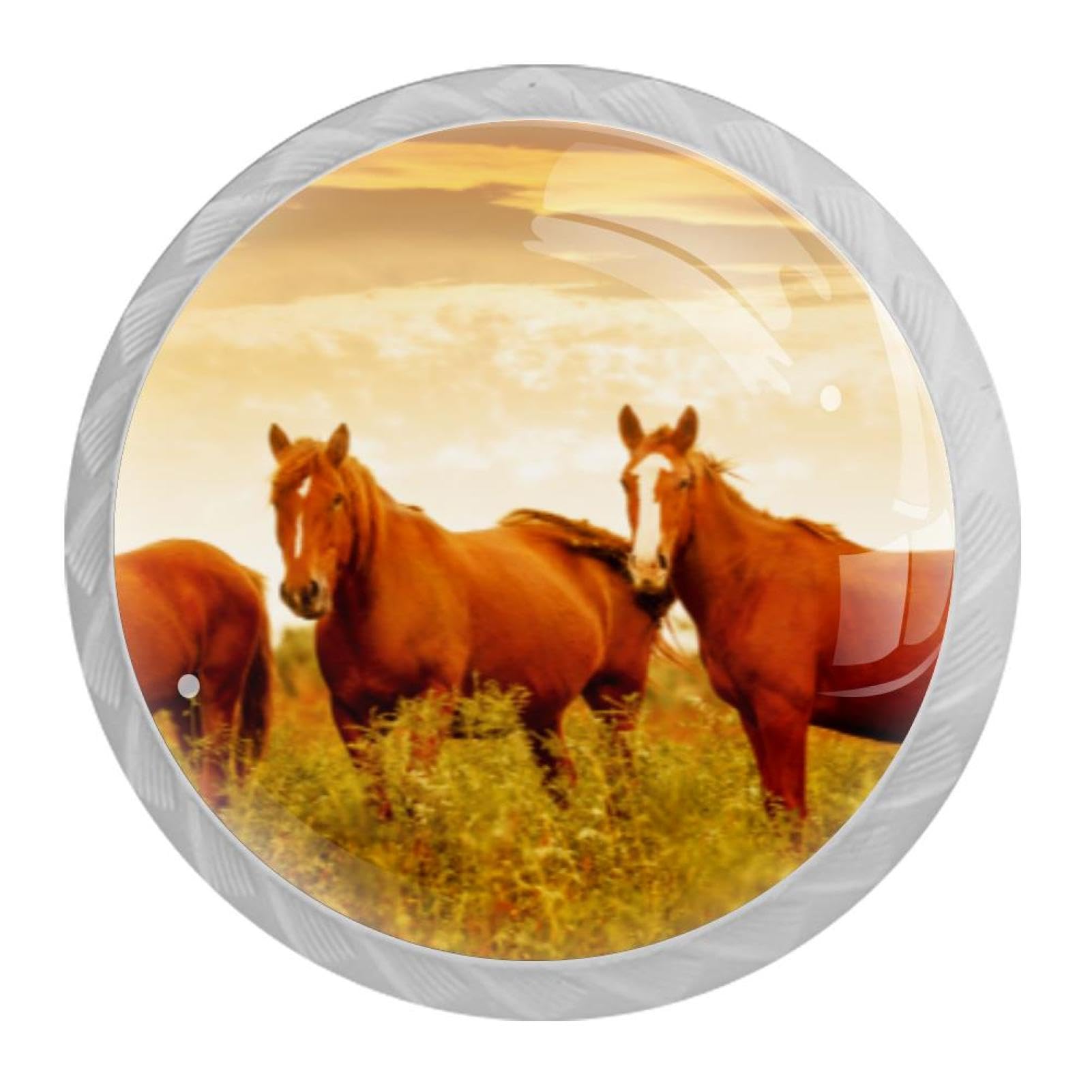 Tqmspg Multi Brown Horses