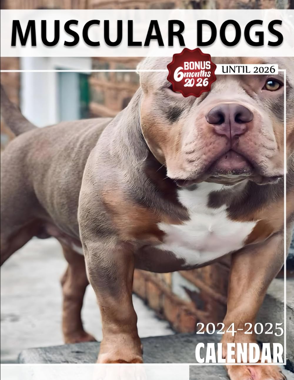 Muscular Dogs Calendar 2024 - 2025: Three Years Calendar, Bank Holidays, 30 Images of Muscular Dogs, Jan 2024 to Jun 2026, 17" x 11" Opened, Thick & ... & Planning, Gift For Friends And Family