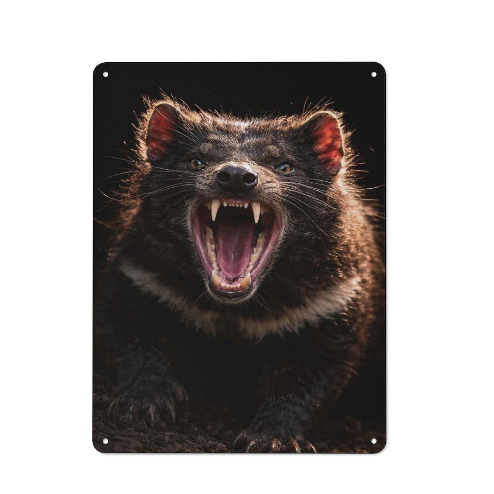 Junmoney Style-13 Tin Wall Plaque 40X30cm With Tasmanian Devil Roaring For Man Cave Or Games Room, For Vintage Wall Decor Fans, For Themed Room Decoration