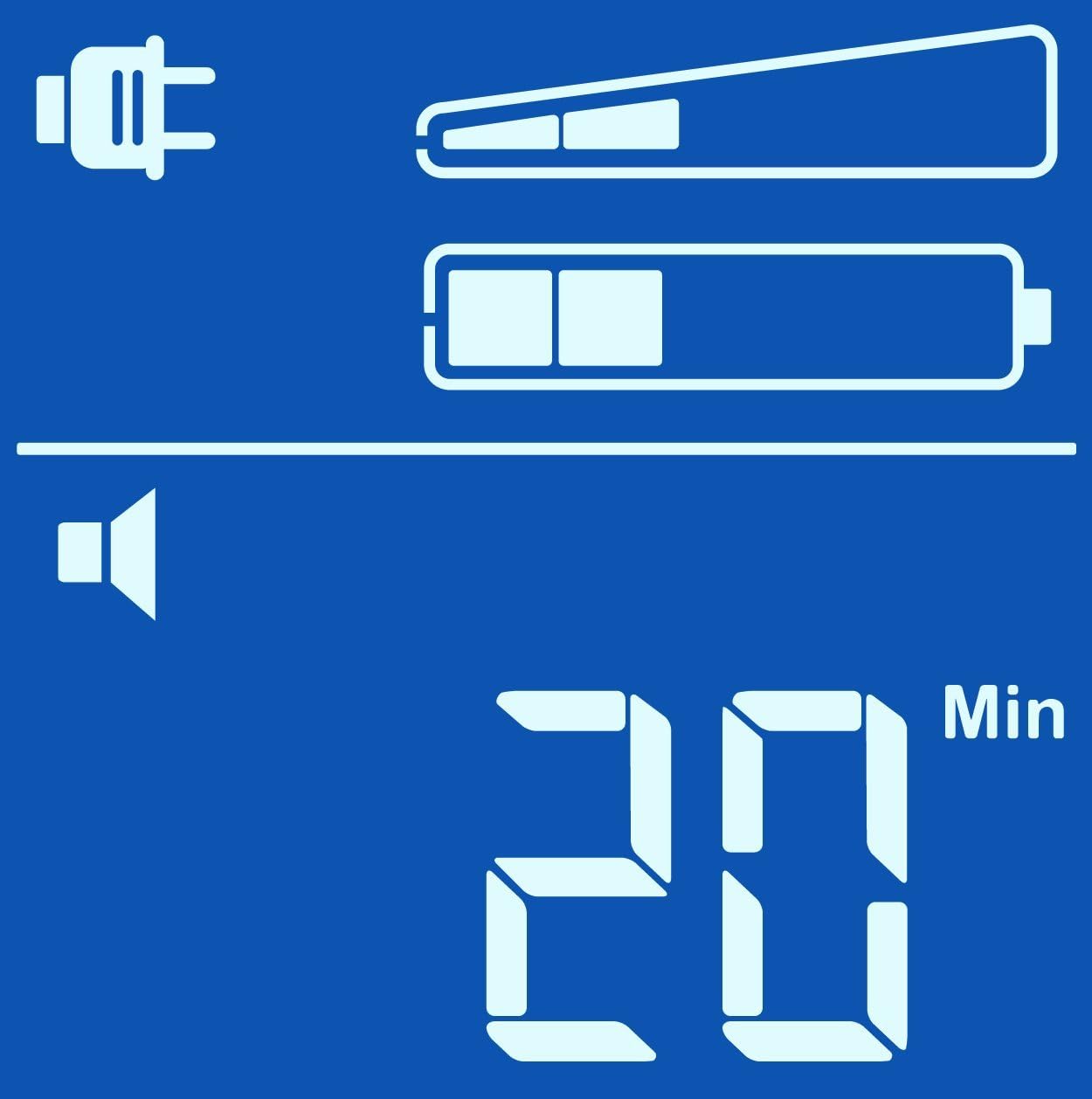 UPS-display viser 20 minutters driftstid