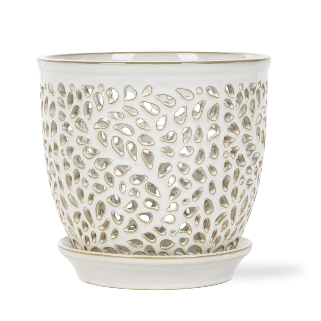 Mama Cozy Life Elegant Orchid Pot 6.5 Inch