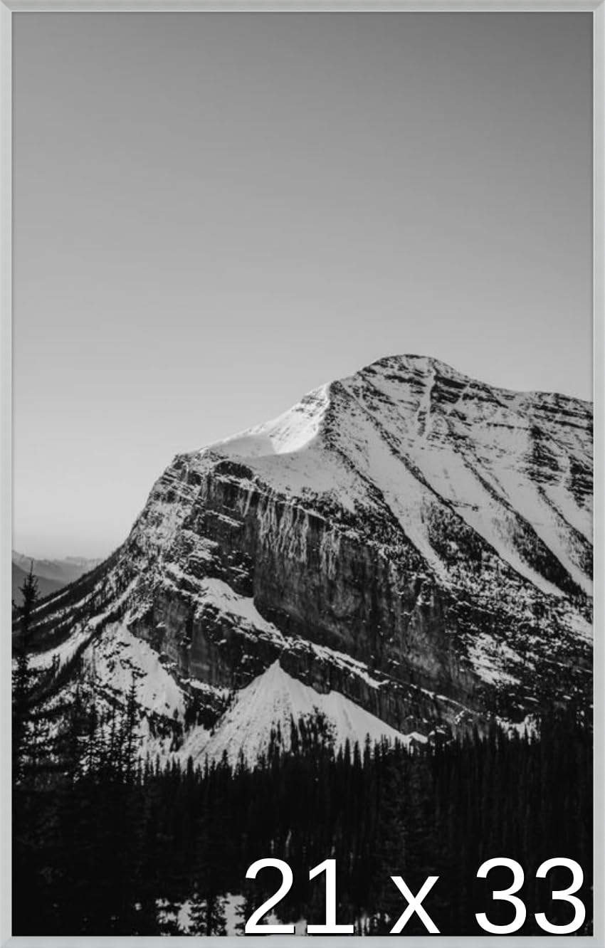 Frame It Easy 21 x 33 Satin Silver Metal Frame (Ashford)