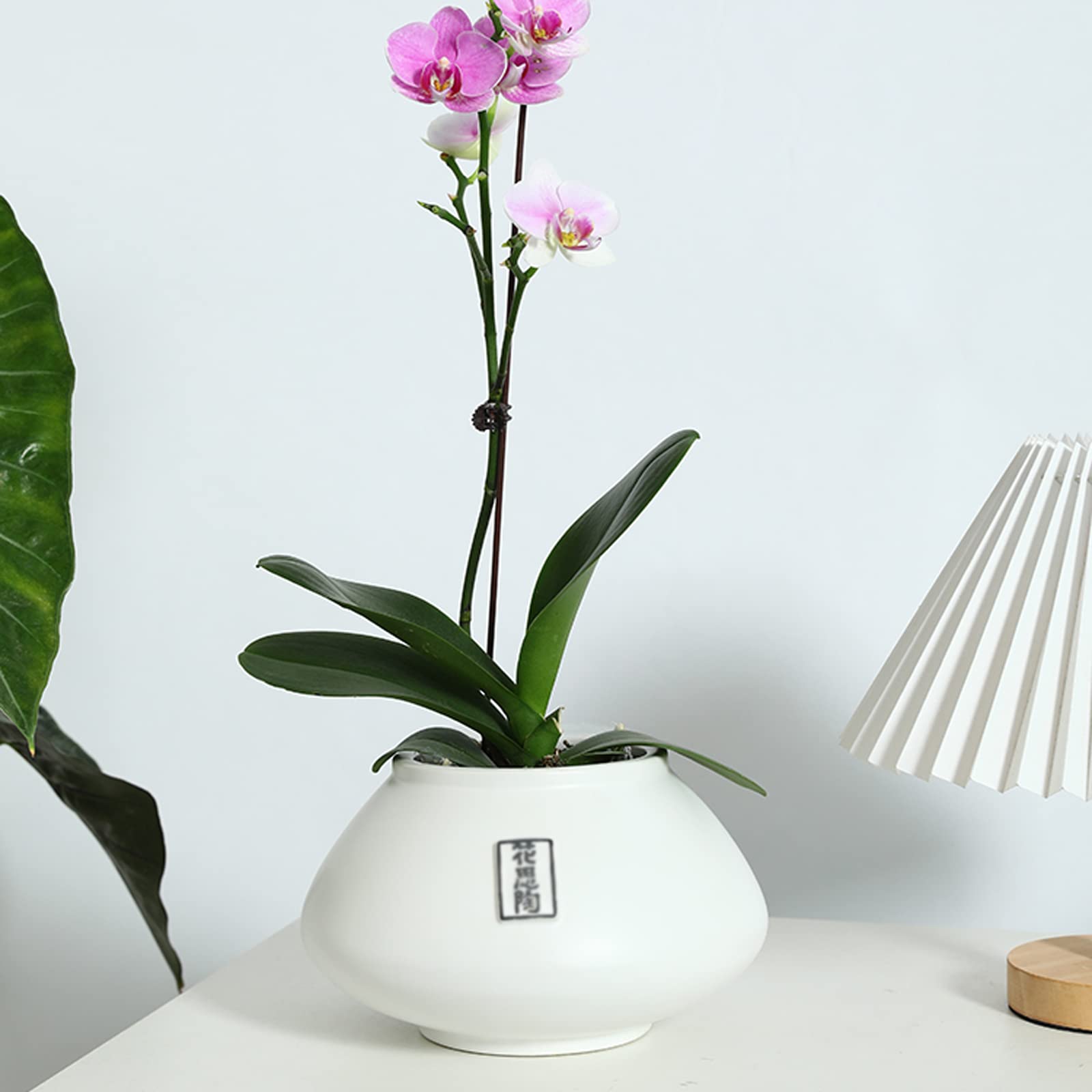 Vasi da Giardino Moderni vasi da Fiori Bianchi con Fori di drenaggio, Contenitore per Piante grasse in Ceramica per Interni ed Esterni