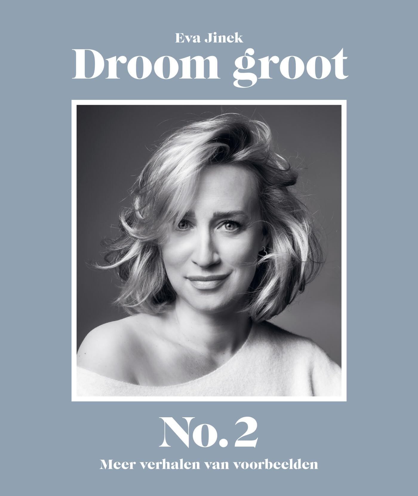 Droom groot No. 2: meer verhalen van voorbeelden