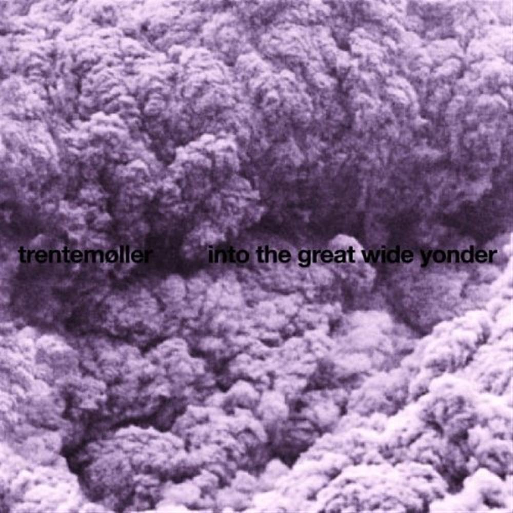 Into The Great Wide Yonder [VINYL]