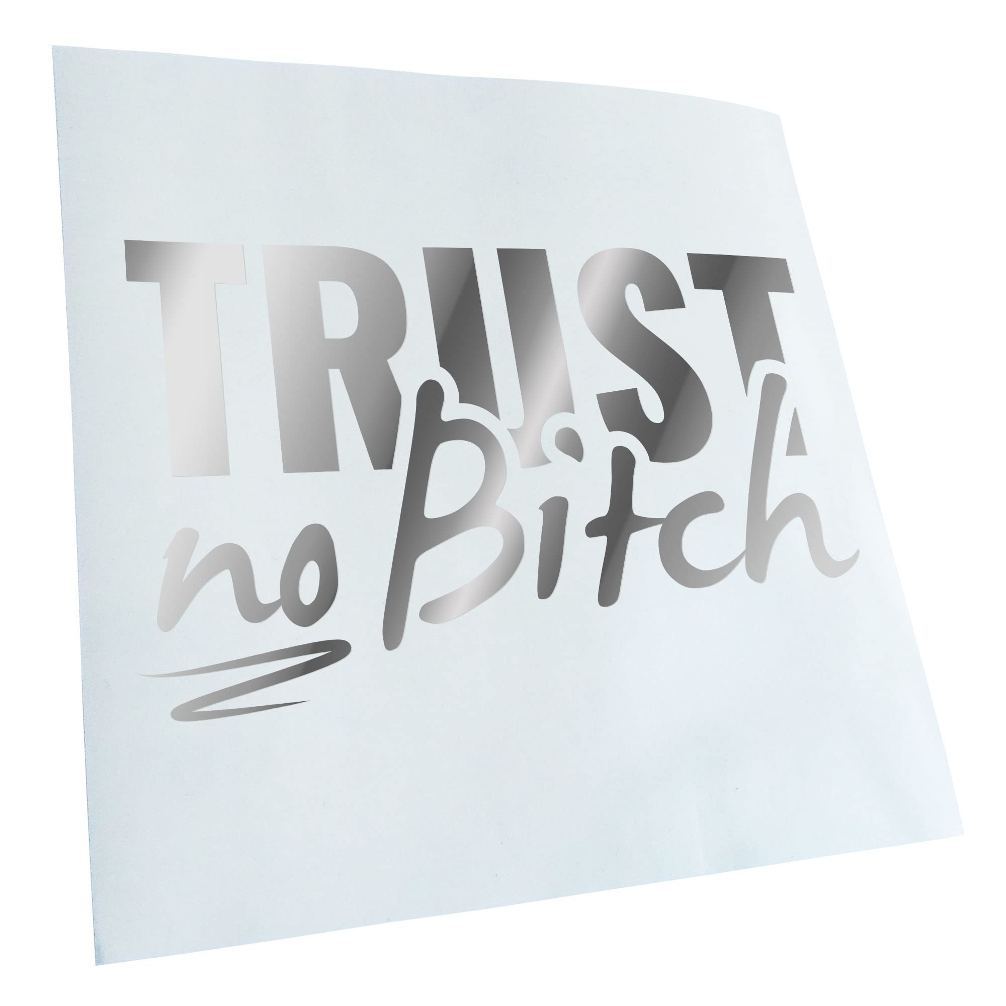 Kiwistar - Trust no - vertrau keine Tussi - chrome - G10 - For cars, bicycles, vehicles, motorcycles, mopeds, tuning, rear windows