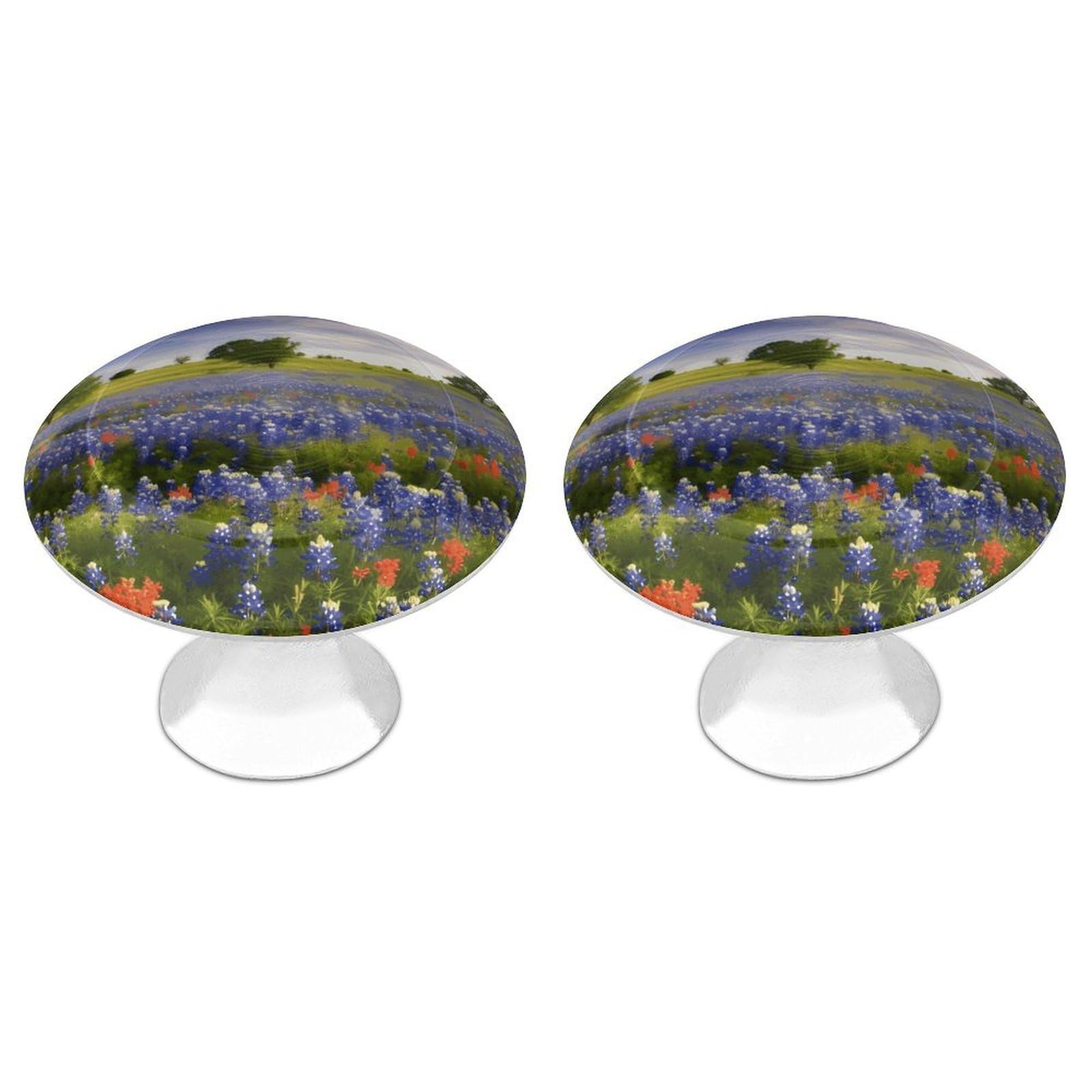 Fekiloot Style Texas Bluebonnets Scenery Cabinet Knobs Round Dresser Drawer Pulls Stainless Steel Drawer Kitchen Knobs Modern Cabinet Hardware Drawers Knob Bathroom Closet Cabinets Handles