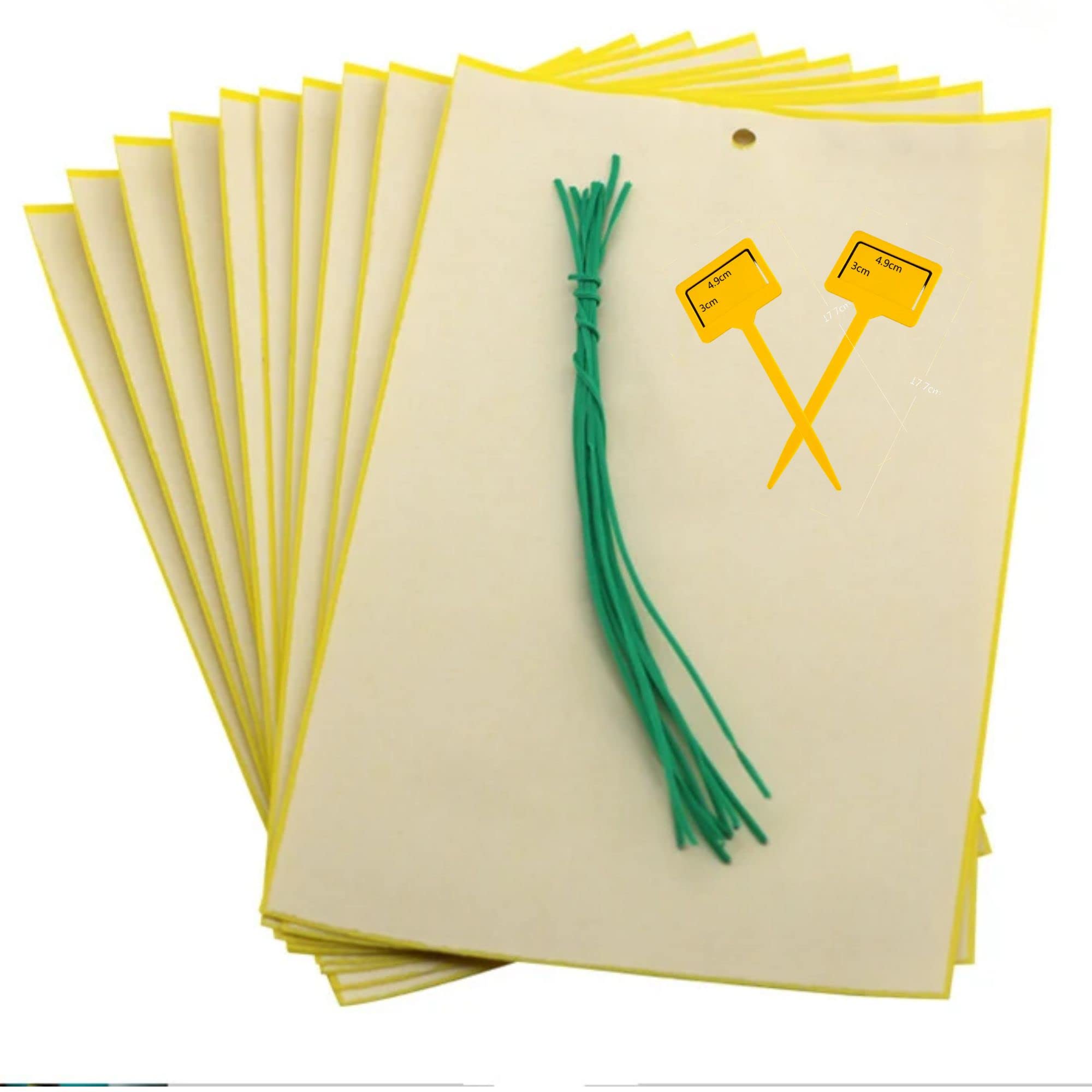 Amazon | コバエ取り 虫取り 粘着シート (黄色/24枚入り) 粘着  