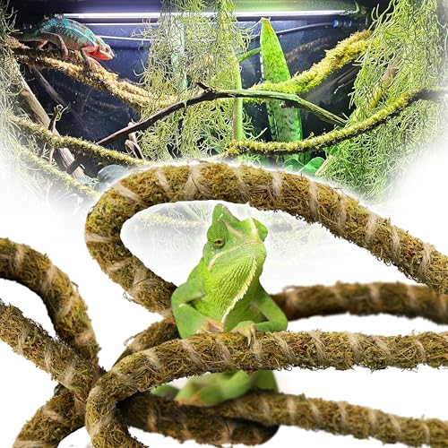 Duspro 6.5FT Reptile Vine & Moss Set for Climbing Bendable Branch Natural Moss Rope Jungle Decor for Bearded Dragon Chameleon Tank Accessories Snake Gecko Lizard Terrarium