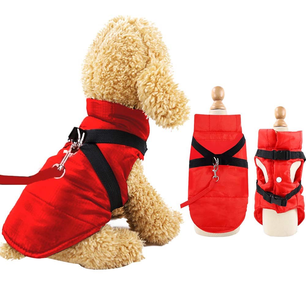 dog coat with d ring