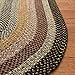 SAFAVIEH Washable Rug Outdoor Braided Collection - 8' Round, Multi, Handmade & Reversible, Non-Shedding & Easy to Clean, Ideal for Patio, Backyard, Mudroom (BRD308A)