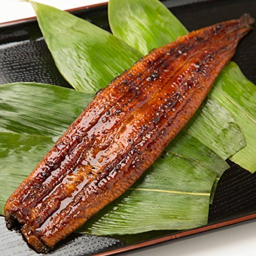 うなぎ蒲焼 国産一色産 特大 真空パック 1尾