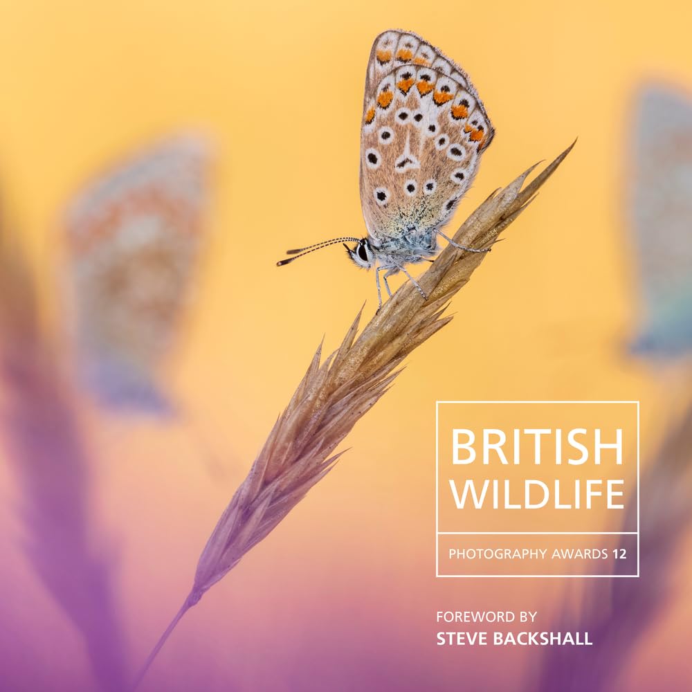 British Wildlife Photography Awards 2024: 12 - Nicholls, Will